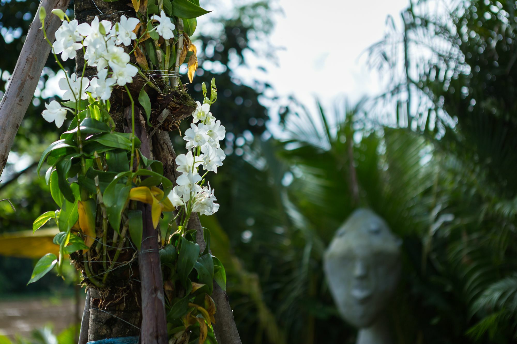 River Art Hotel Chiang Mai Buitenkant foto
